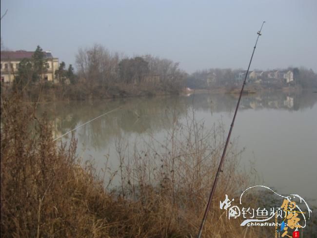 龙年第一钓 生擒两“皇上”【原创】