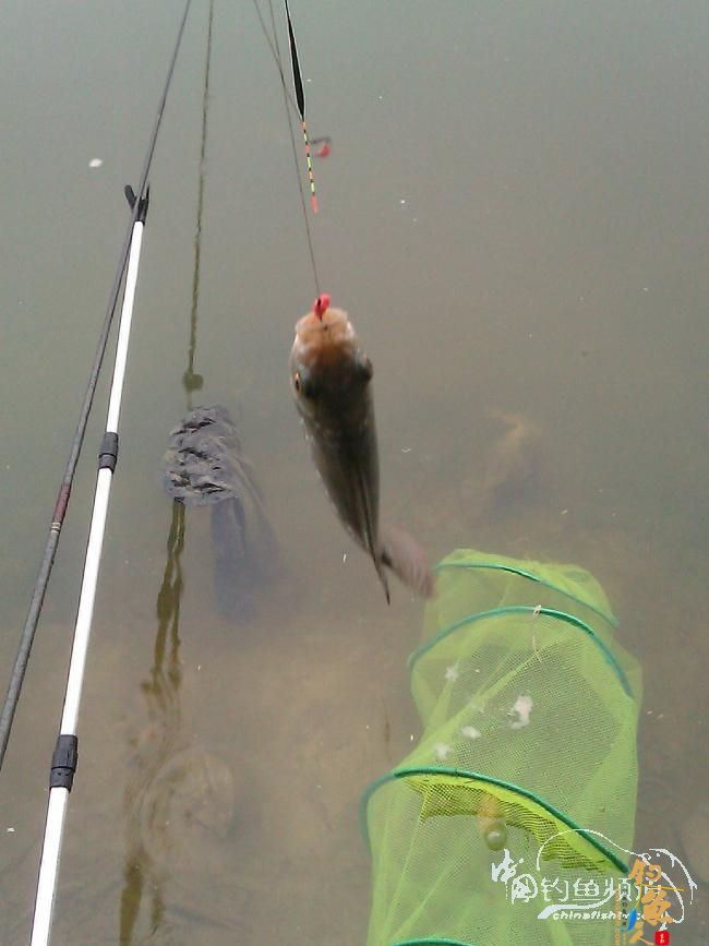 宁德钓记③——2012首钓有礼！