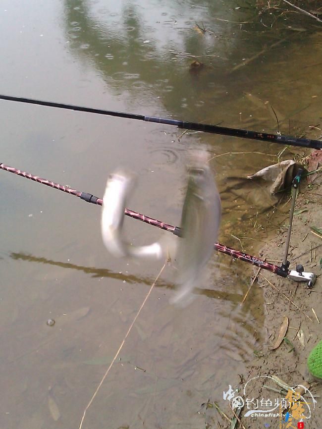 宁德钓记③——2012首钓有礼！