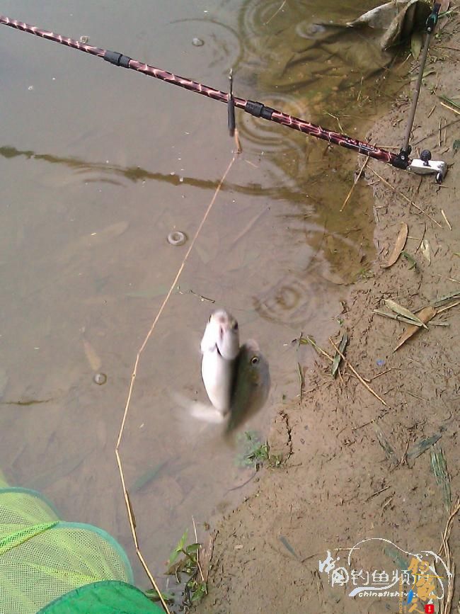宁德钓记③——2012首钓有礼！