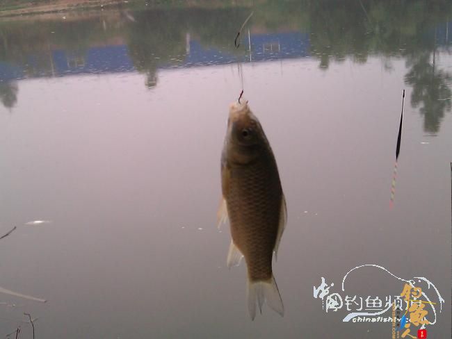 宁德钓记③——2012首钓有礼！