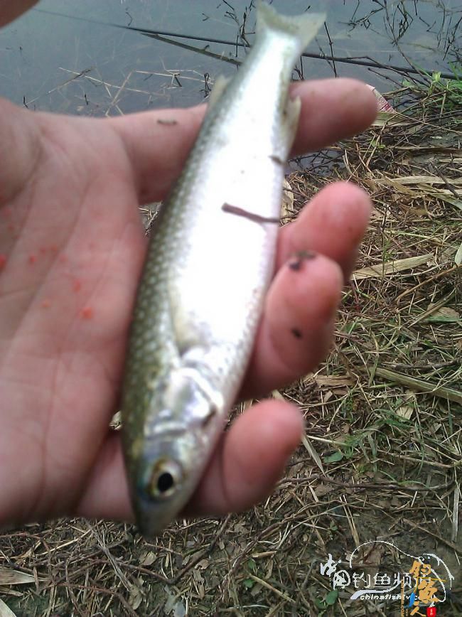 宁德钓记③——2012首钓有礼！