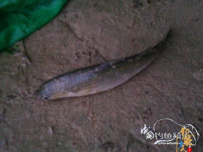 宁德钓记③——2012首钓有礼！