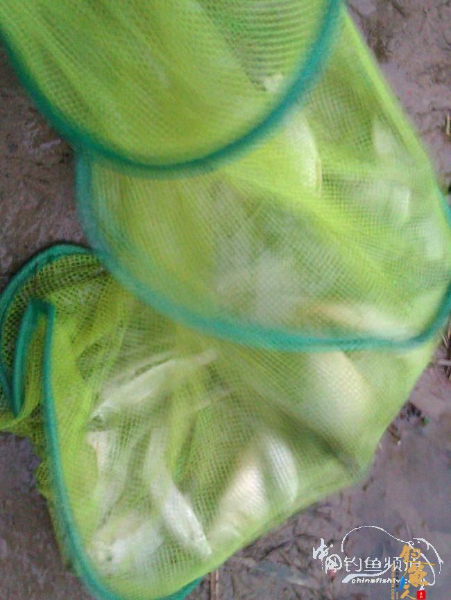 宁德钓记③——2012首钓有礼！