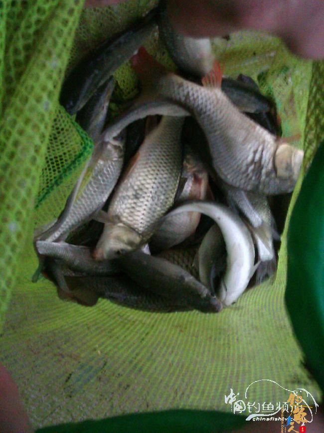 宁德钓记③——2012首钓有礼！