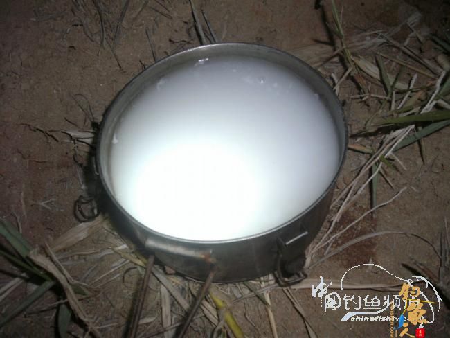 野钓无鱼时无语---------那一夜苦梦