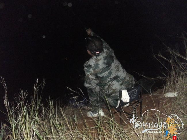 野钓无鱼时无语---------那一夜苦梦