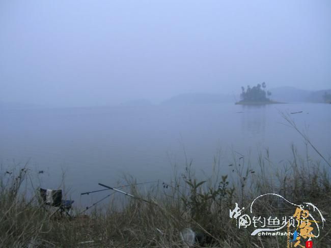 野钓无鱼时无语---------那一夜苦梦