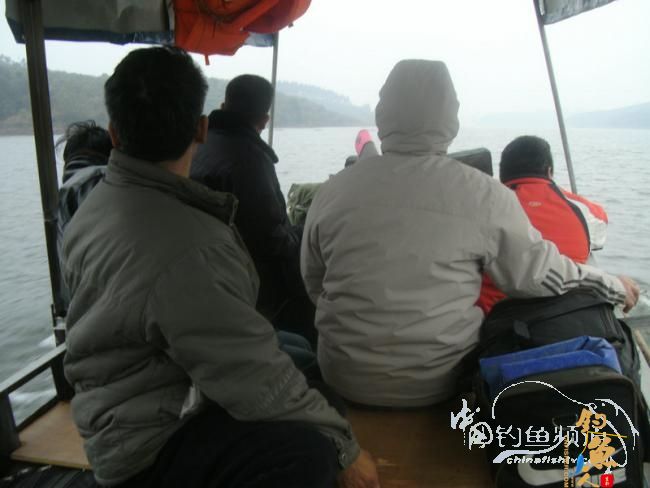 野钓无鱼时无语---------那一夜苦梦