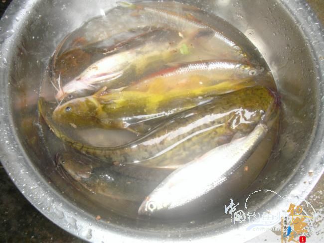 野钓无鱼时无语---------那一夜苦梦