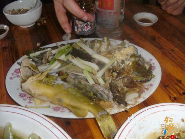 野钓无鱼时无语---------那一夜苦梦