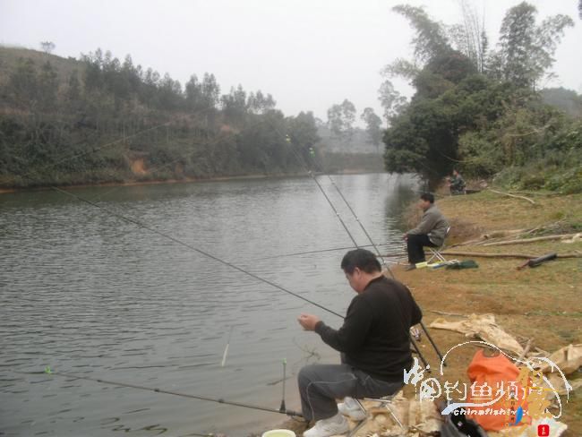 野钓无鱼时无语---------那一夜苦梦