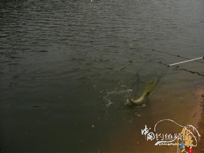 野钓无鱼时无语---------那一夜苦梦