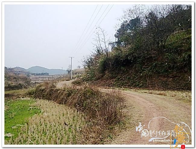 野钓日记----新年首钓野山塘，俺与夫人联袂往