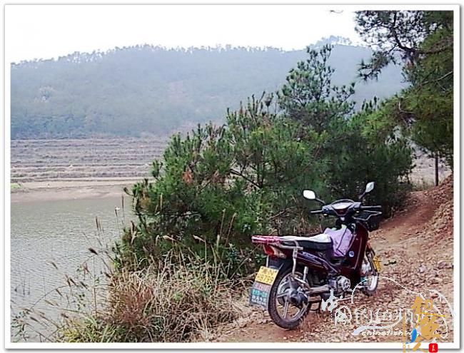 野钓日记----新年首钓野山塘，俺与夫人联袂往