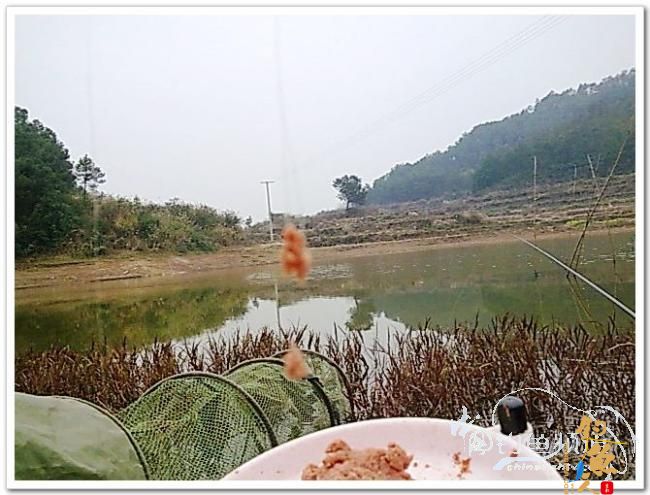 野钓日记----新年首钓野山塘，俺与夫人联袂往