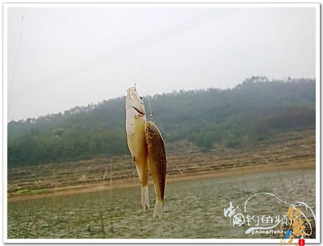 野钓日记----新年首钓野山塘，俺与夫人联袂往