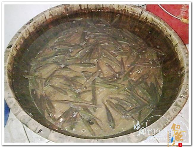 野钓日记----新年首钓野山塘，俺与夫人联袂往