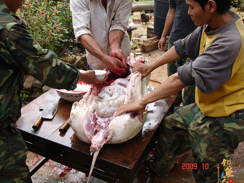 西双版纳钓鱼的一个好地方----澜沧江一支流