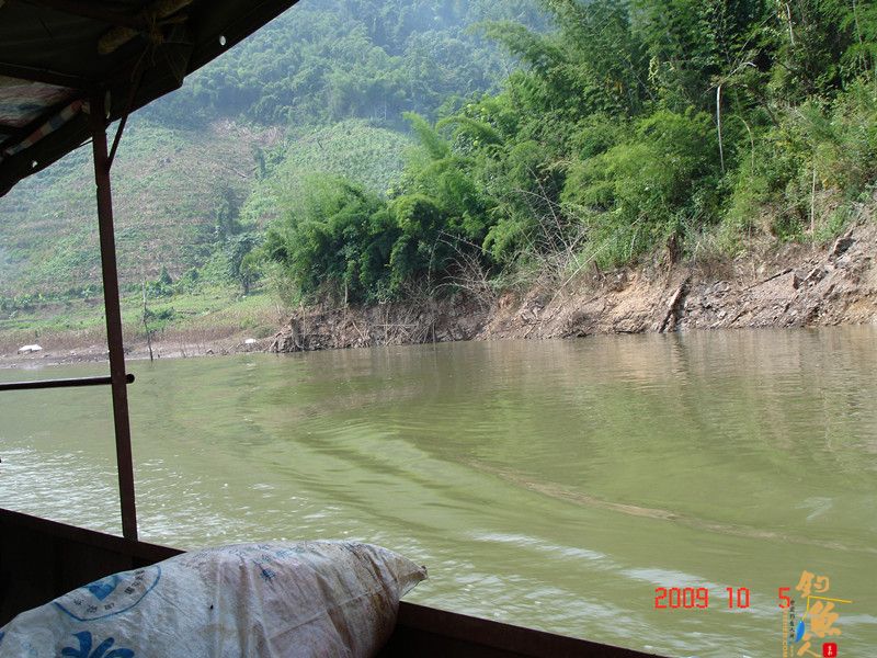西双版纳钓鱼的一个好地方----澜沧江一支流