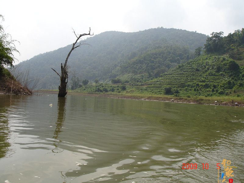 西双版纳钓鱼的一个好地方----澜沧江一支流