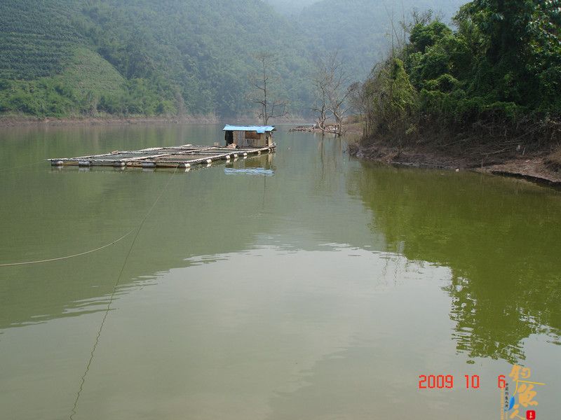 西双版纳钓鱼的一个好地方----澜沧江一支流