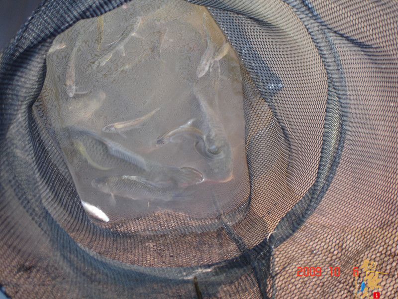 西双版纳钓鱼的一个好地方----澜沧江一支流