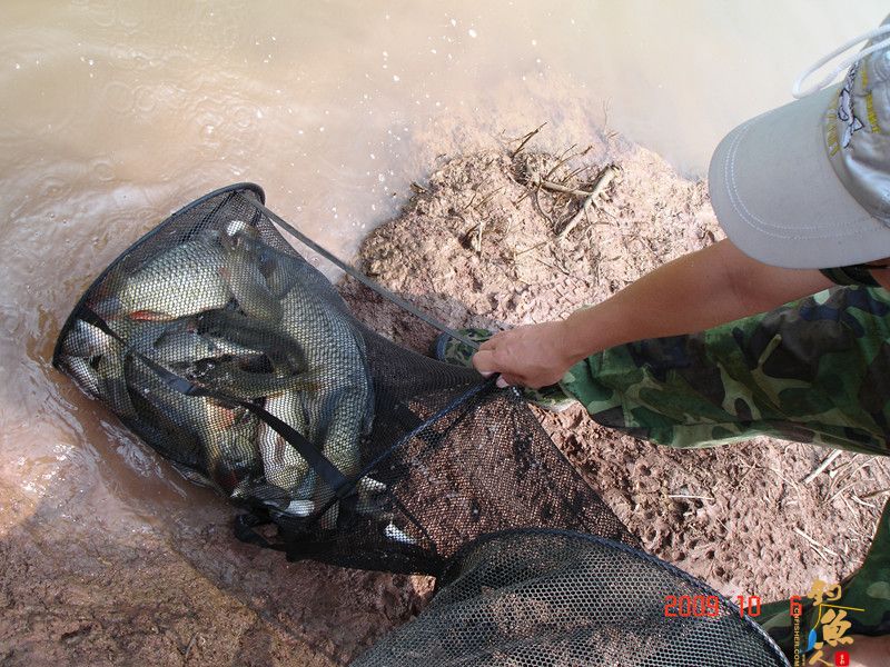 西双版纳钓鱼的一个好地方----澜沧江一支流