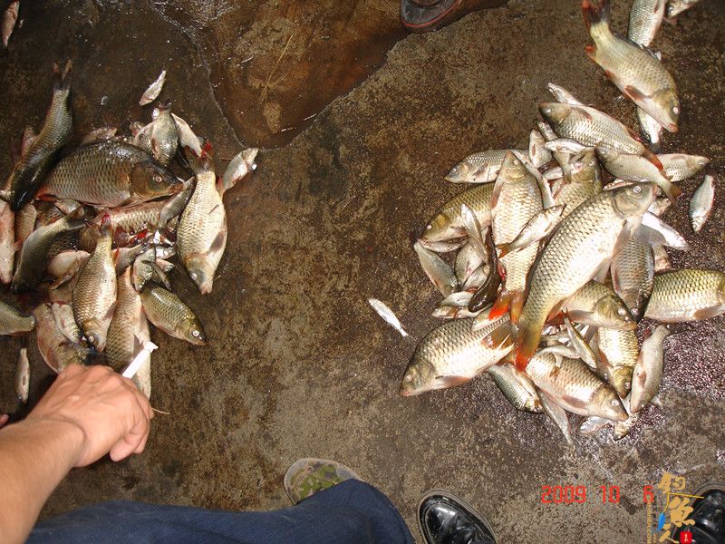 西双版纳钓鱼的一个好地方----澜沧江一支流