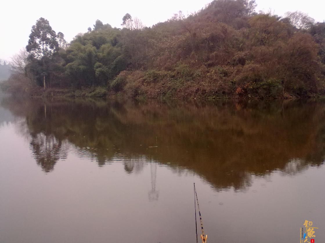 猎渔--钓点鱼儿好过年