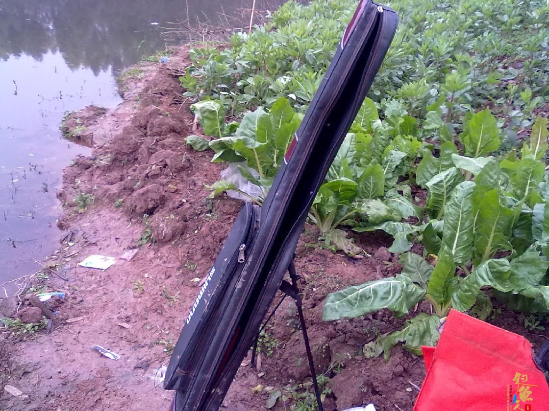 猎渔--钓点鱼儿好过年