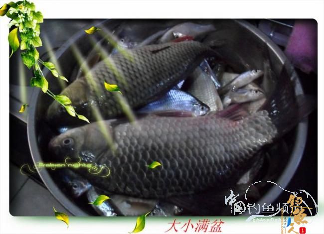 初冬之爽,11月8日立冬单枪匹马杀向陆水湖水库花庙村