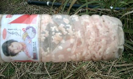 长竿短线的魅力(5)——小雪过后沙河俘获大鲫班!