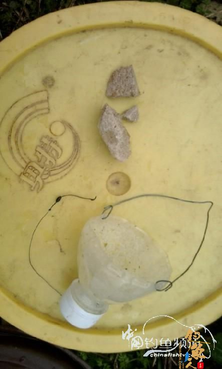 长竿短线的魅力(5)——小雪过后沙河俘获大鲫班!