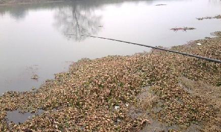 长竿短线的魅力(5)——小雪过后沙河俘获大鲫班!