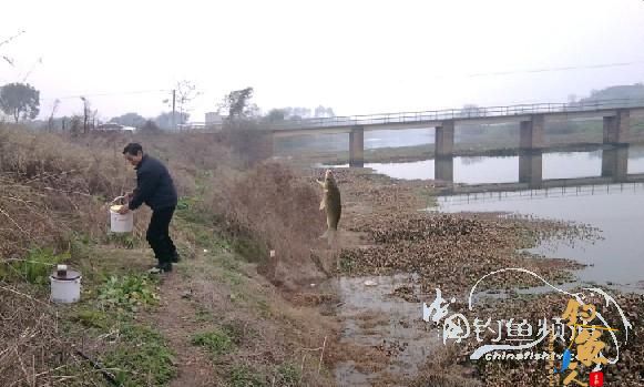 长竿短线的魅力(5)——小雪过后沙河俘获大鲫班!
