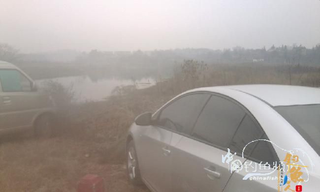 长竿短线的魅力(5)——小雪过后沙河俘获大鲫班!