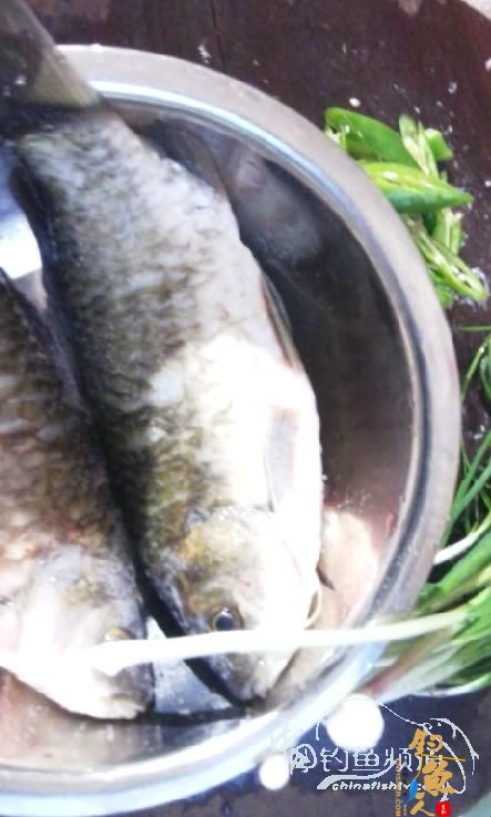 长竿短线的魅力(5)——小雪过后沙河俘获大鲫班!