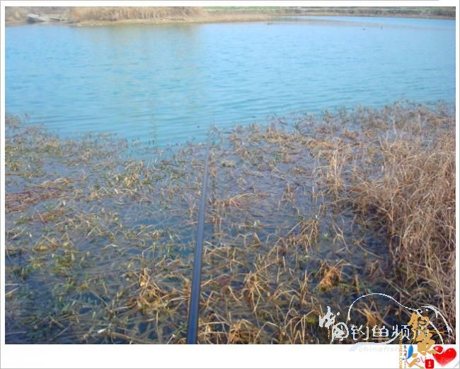 钓鱼之《生》【原创】