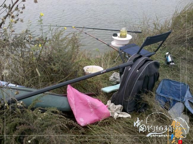 梦想与现实的差距,文:野钓手