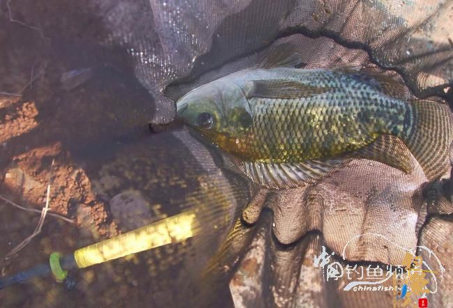 2012坝兰河----空军退伍