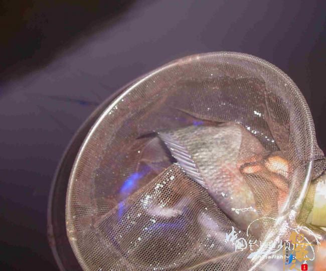 2012坝兰河----空军退伍