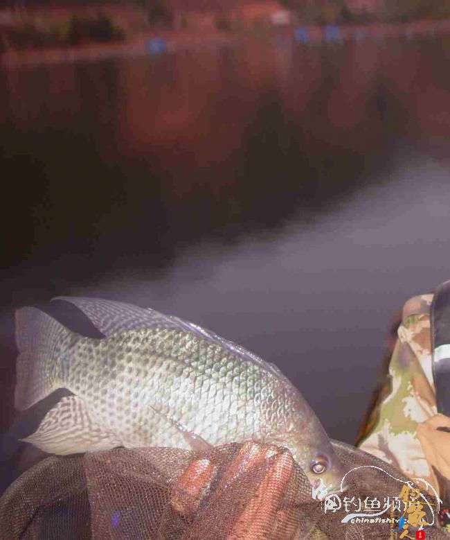 2012坝兰河----空军退伍