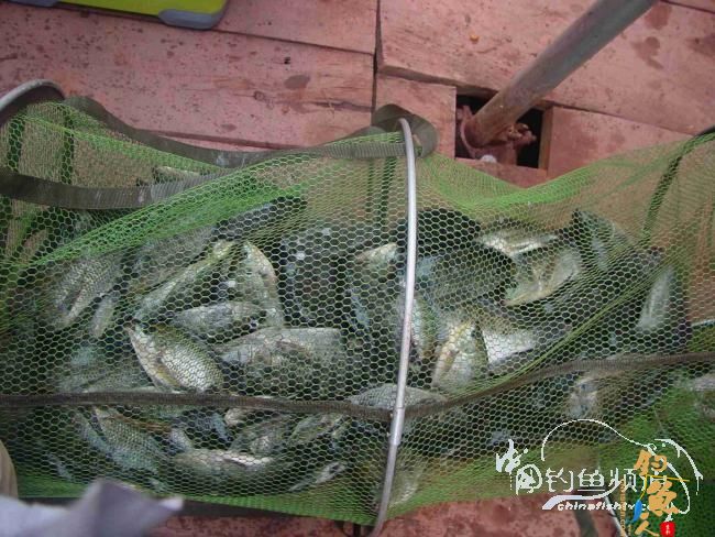 2012坝兰河----空军退伍