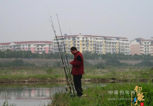 麦粒饵的收获 有图有真相 