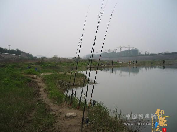 麦粒饵的收获 有图有真相 