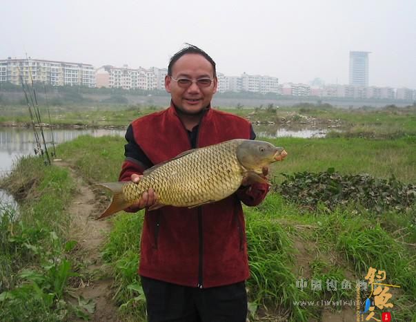 麦粒饵的收获 有图有真相 