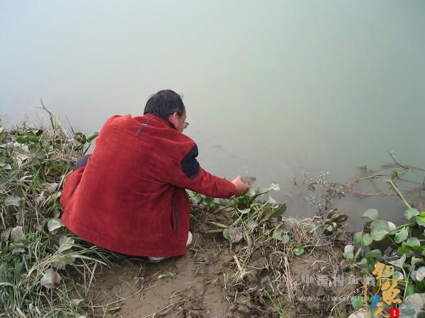 麦粒饵的收获 有图有真相 