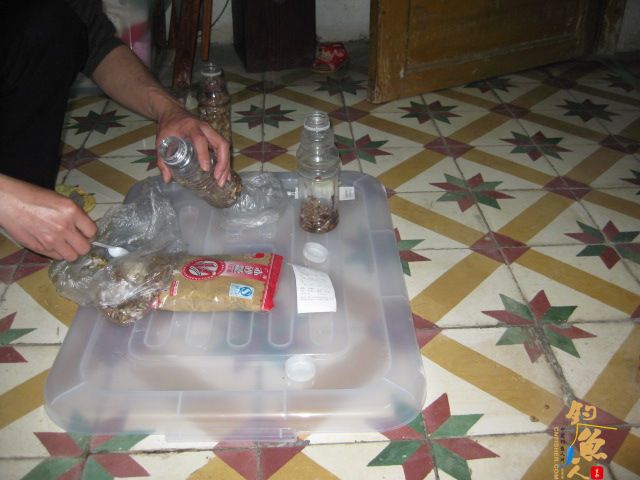 自己动手做五色糯米窝料 配图说明