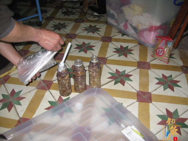 自己动手做五色糯米窝料 配图说明